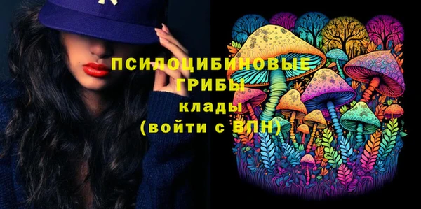 дмт Алексин