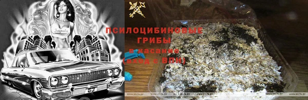 бутират Алексеевка